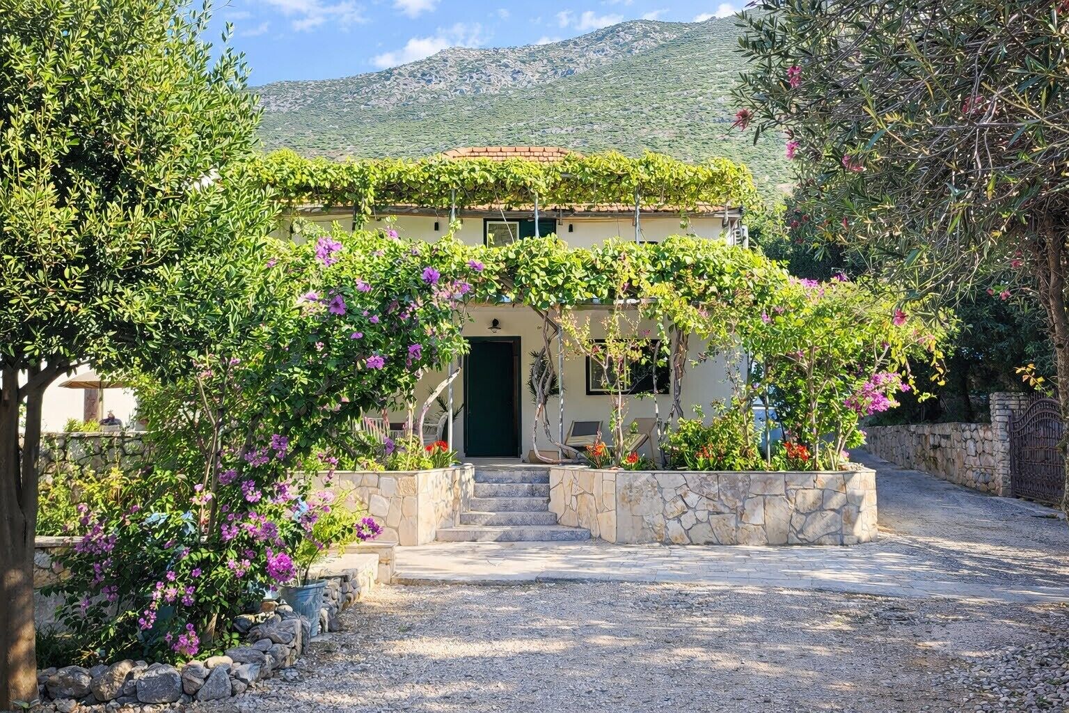 A house with a stone staircase leading to a green door, surrounded by lush greenery and flowering plants.