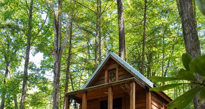 Cozy Creekside Forest Cabin Escape