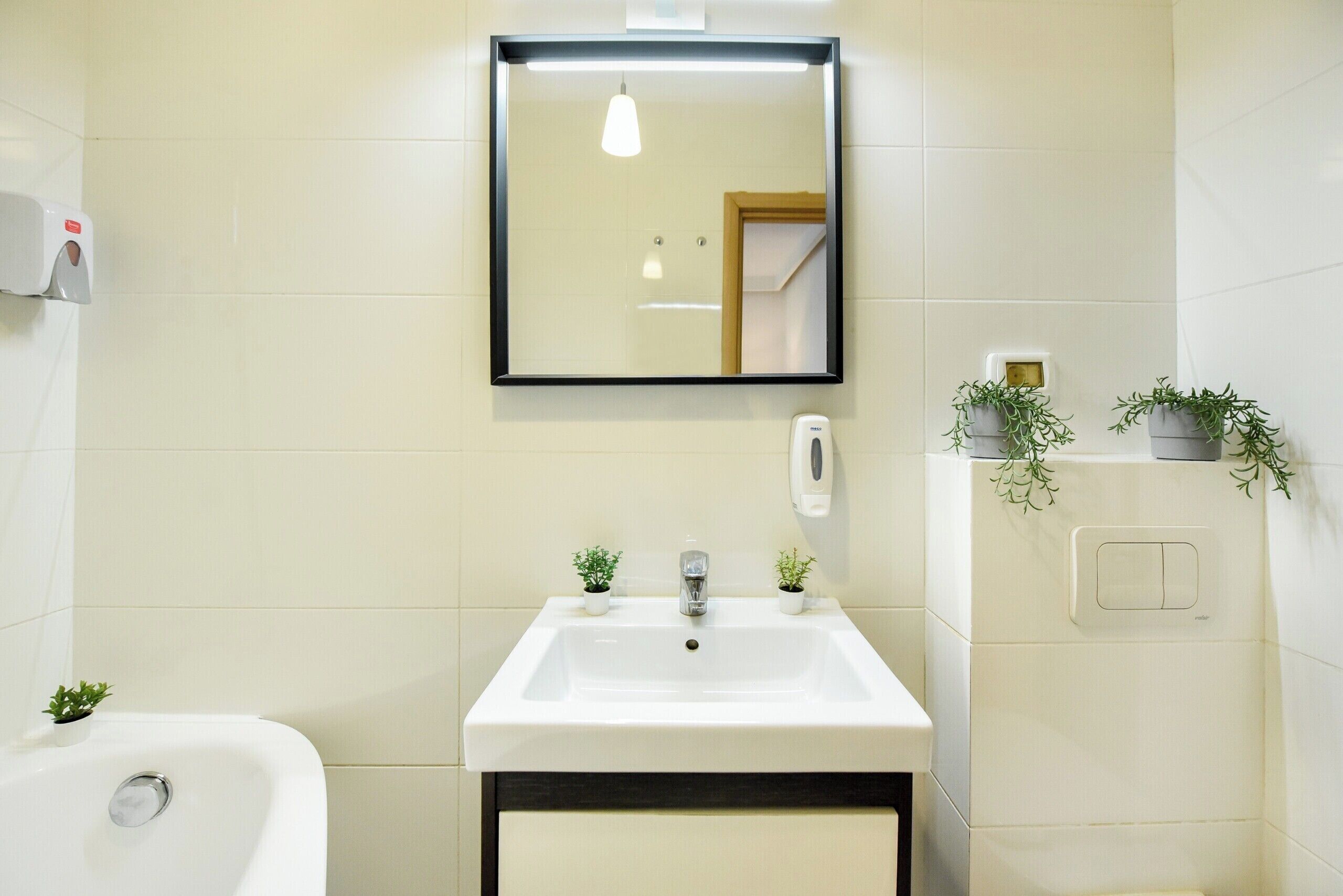 Un bany amb un lavabo blanc, un mirall, un assecador de mans, un interruptor de llum i dues plantes en testos.