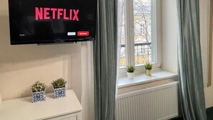 Een kamer met een televisie aan de muur waarop 'NETFLIX' staat, een raam met gordijnen en twee potplanten op de vensterbank.