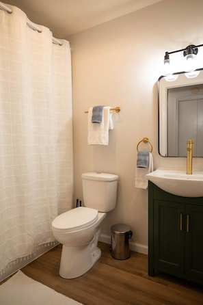 Une salle de bain équipée de toilettes, d’un lavabo, d’un miroir et d’un rideau de douche.
