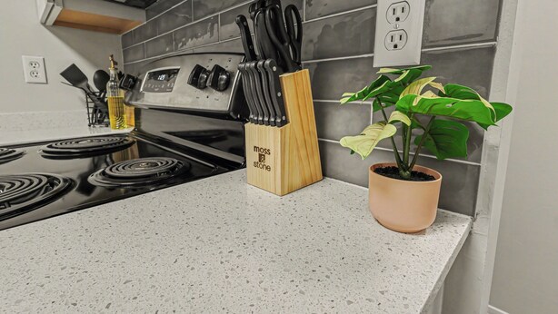 A kitchen with a granite countertop, a stove, a knife block, and a potted plant. - Green & Private 2BR King Bed/Pool/Gym Near UAB/Hospitals (Homewood)