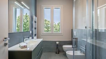 Shower, hair dryer, towels