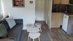 A compact living space with a sofa, a small table, a kitchen area with wooden cabinets, and a framed picture on the wall.