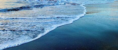 Playa en los alrededores