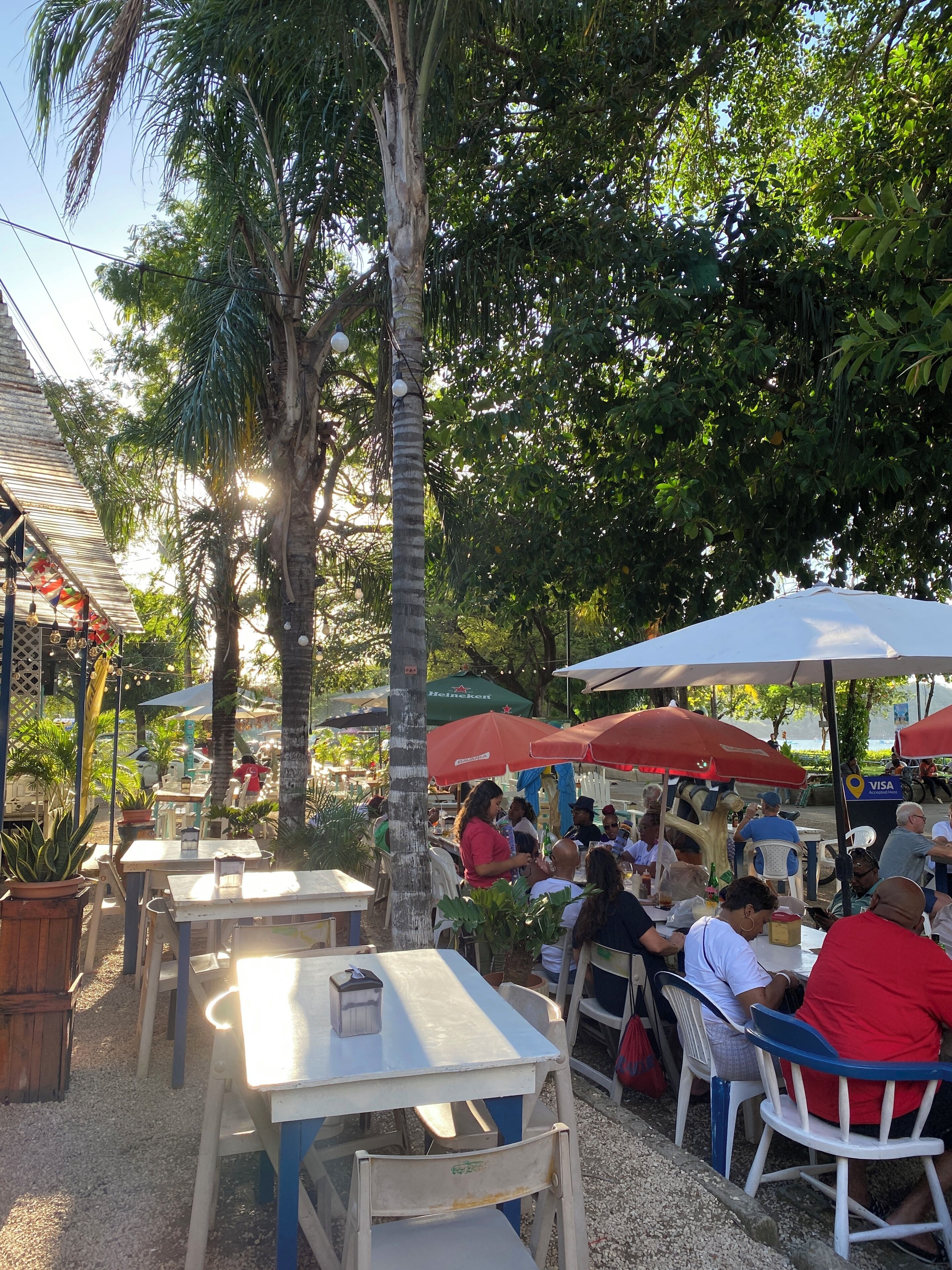 An outdoor café with tables and chairs, surrounded by palm trees and umbrellas.