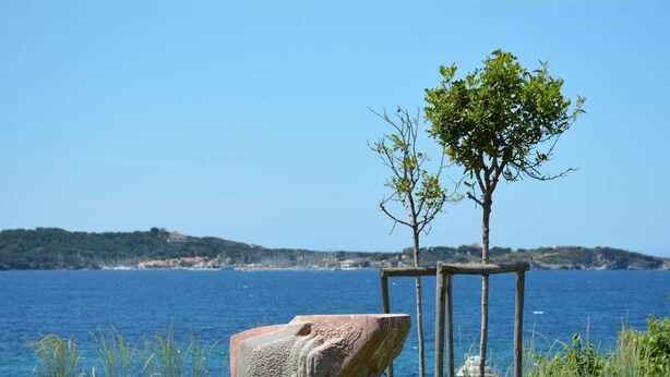 A stone sculpture, a small tree, and a metal chair in a grassy area with a view of the sea. - Air-conditioned apartment near beach - 6 guests (Six-Fours-les-Plages)