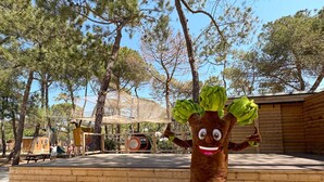 A mascot character in a costume with a large head and green leaves, standing on a wooden deck with trees in the background. - La Tamarissière Village  (Agde)