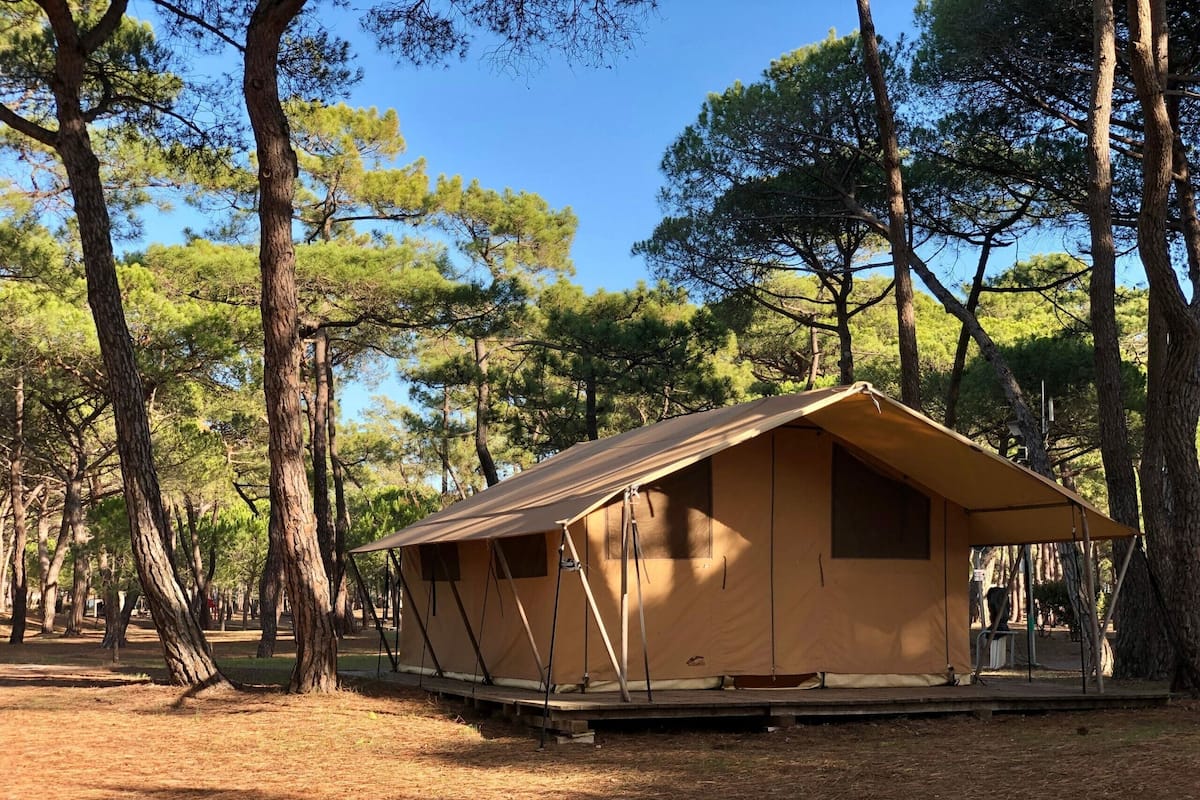 Tienda de una sola habitación con techo inclinado, ubicada en un área boscosa con altos pinos.