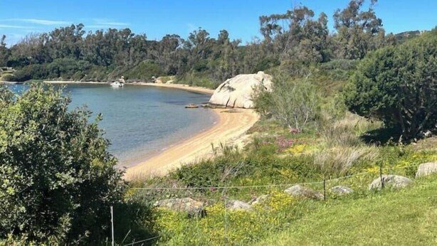 Paisagem costeira com praia arenosa, uma grande formação rochosa e vegetação densa.