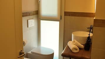 Single Room | Bathroom | Shower, hair dryer, towels, toilet paper