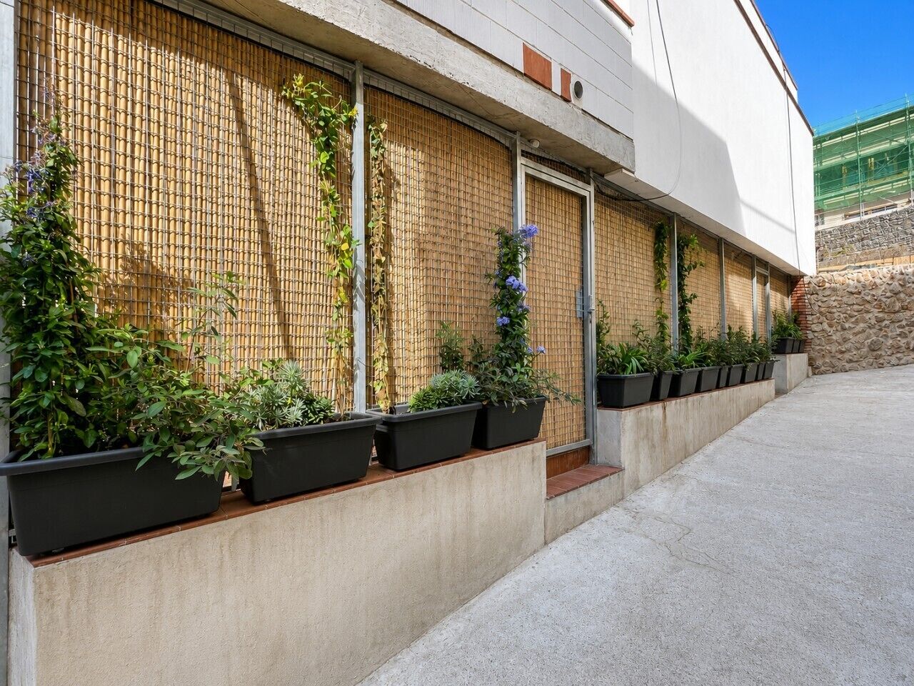 Een gebouw met een wand van bamboe, potplanten en een stenen muur.