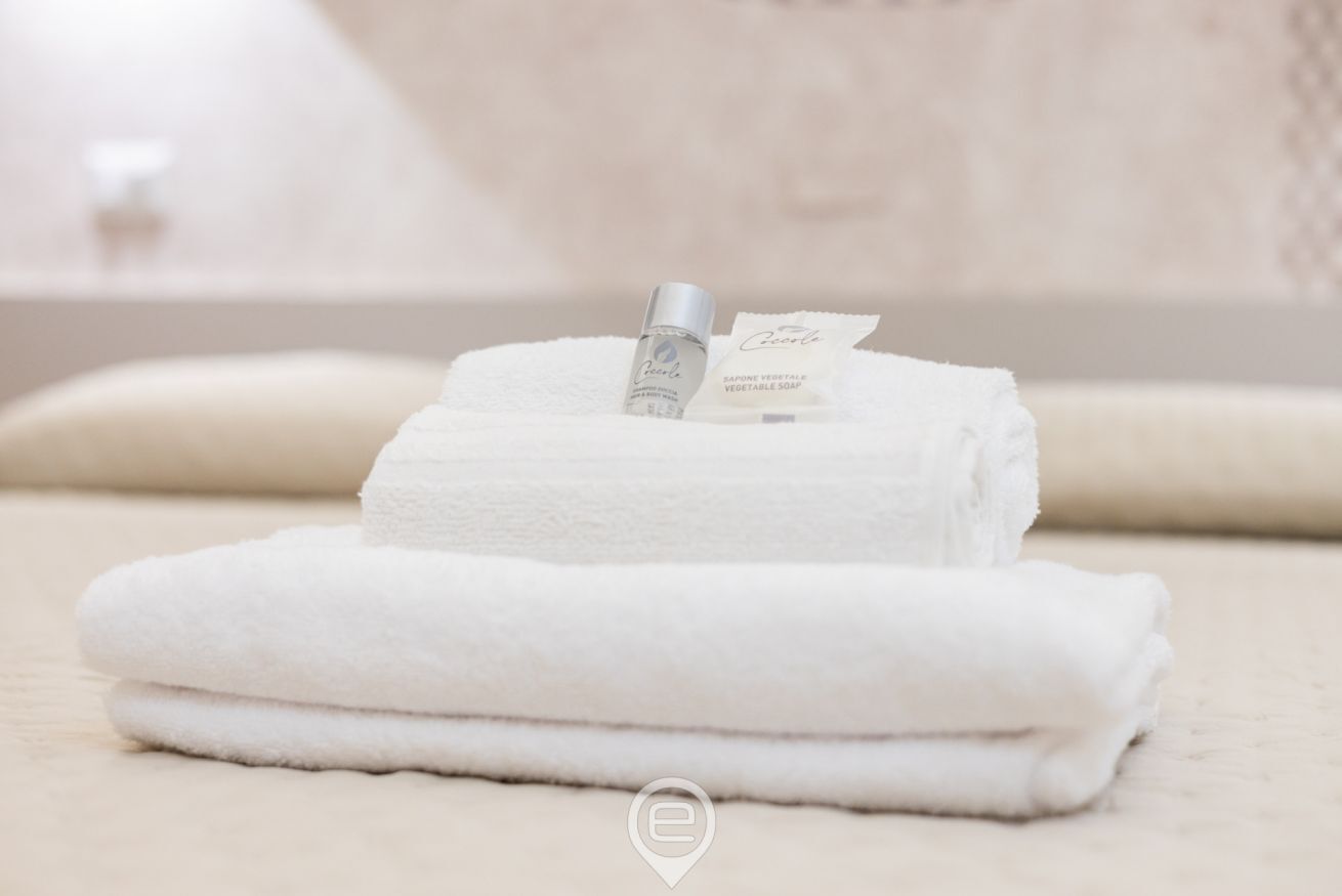 Shower, bidet, towels, shampoo