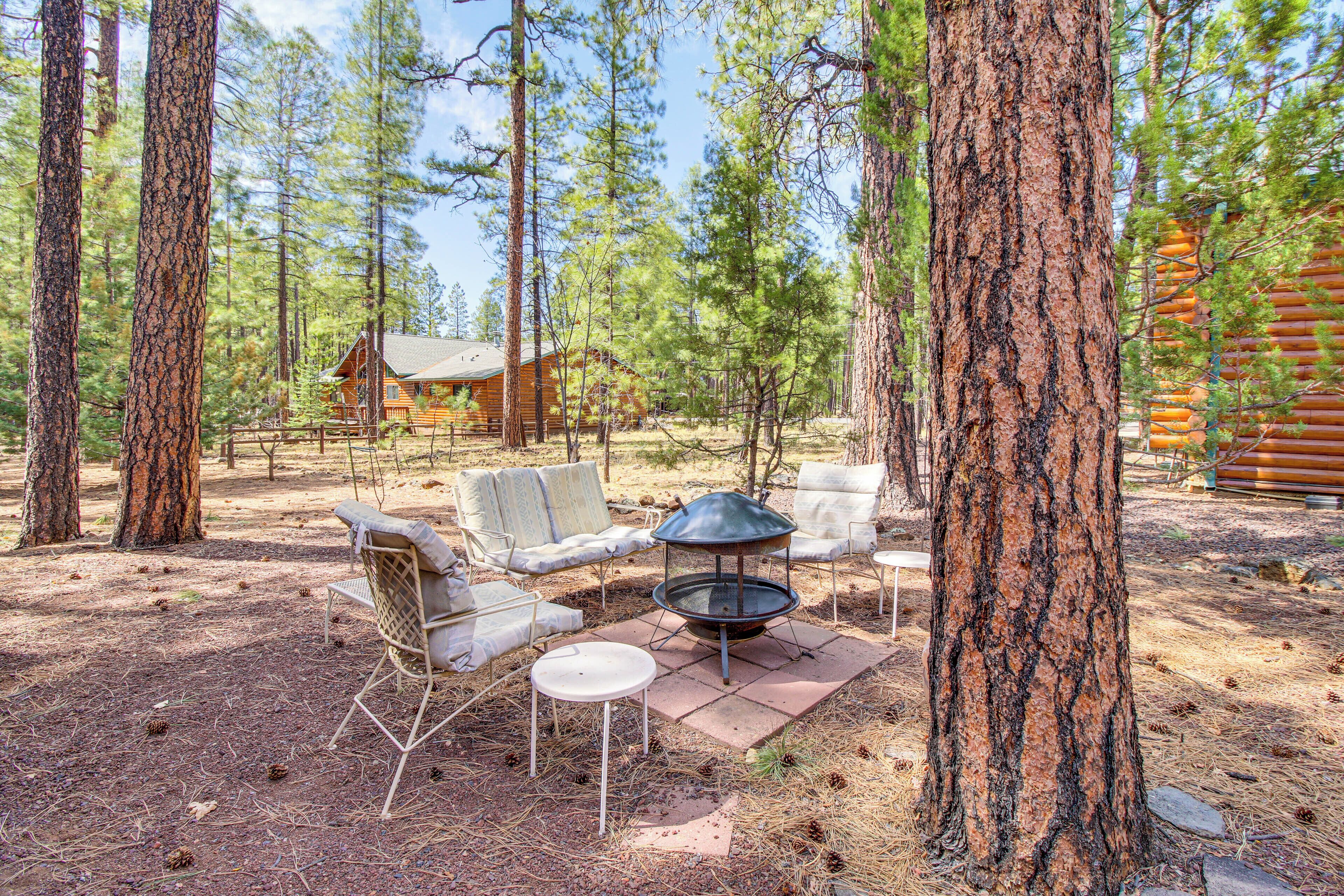 A rustic cabin surrounded by tall pine trees, with outdoor seating and a fire pit.