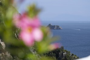Eine Küstenlandschaft mit einer markanten Felsformation im Hintergrund und einer Blume im Vordergrund.