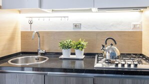 Una cocina moderna con un lavamanos de acero inoxidable, dos plantas en macetas, un hervidor y una estufa a gas Bosch.