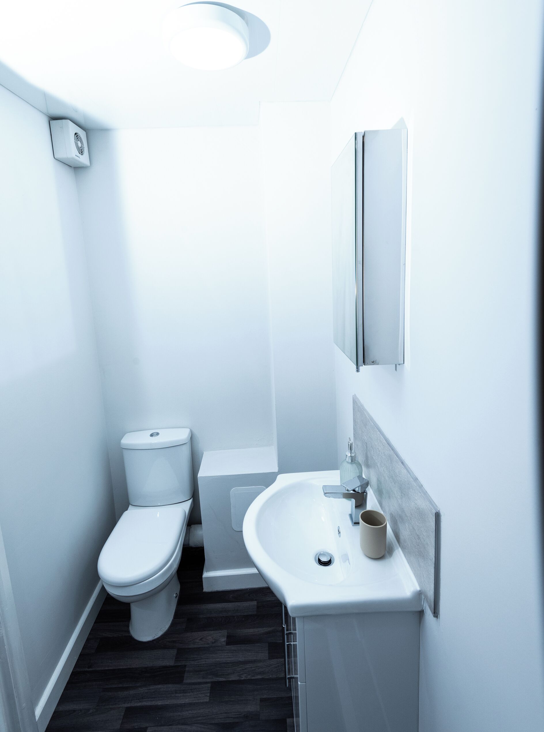 Shower, towels, toilet paper