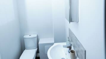 Shower, towels, toilet paper