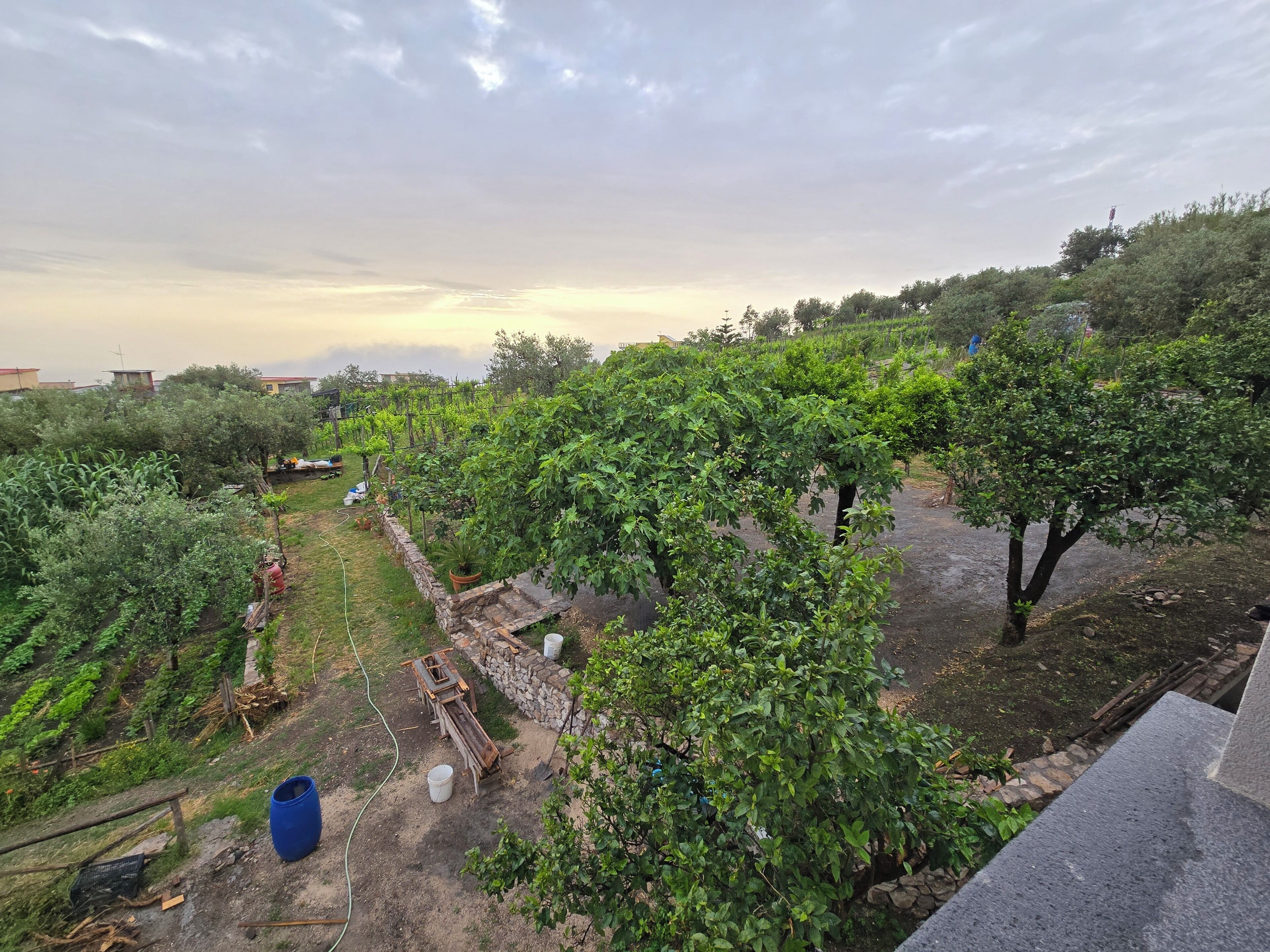 Grill-/Picknickplatz