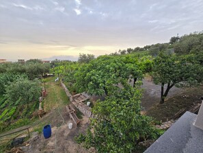 Área de parrillas y picnic