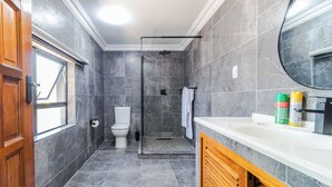 Un baño moderno con ducha, inodoro y lavabo.