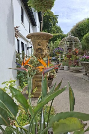 Ein Garten mit einer großen Zierteiche, einem Vogelkäfig und zahlreichen Blumentöpfen.
