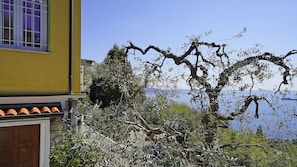 A yellow building with a window and a door, surrounded by olive trees and a view of the sea. - Villa Samanta in Gardone Riviera (Gardone Riviera)