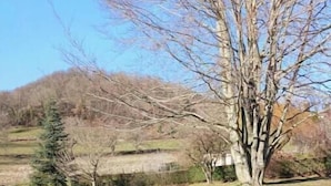 Un sentiero lastricato che costeggia una zona erbosa con alberi e una collina sullo sfondo.