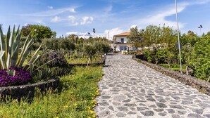 En brostensbelagt sti fører til et hus med solpaneler, omgivet af frodig vegetation og blomstrende planter.