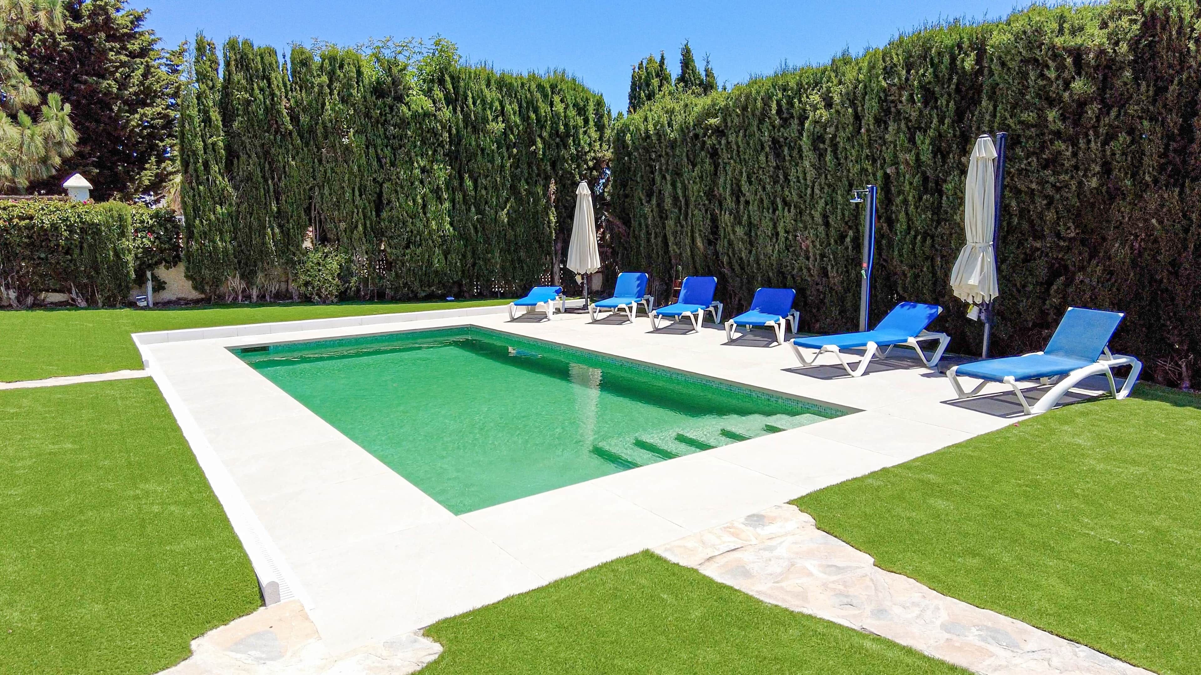 A rectangular swimming pool with a white border, surrounded by a lawn and a hedge.