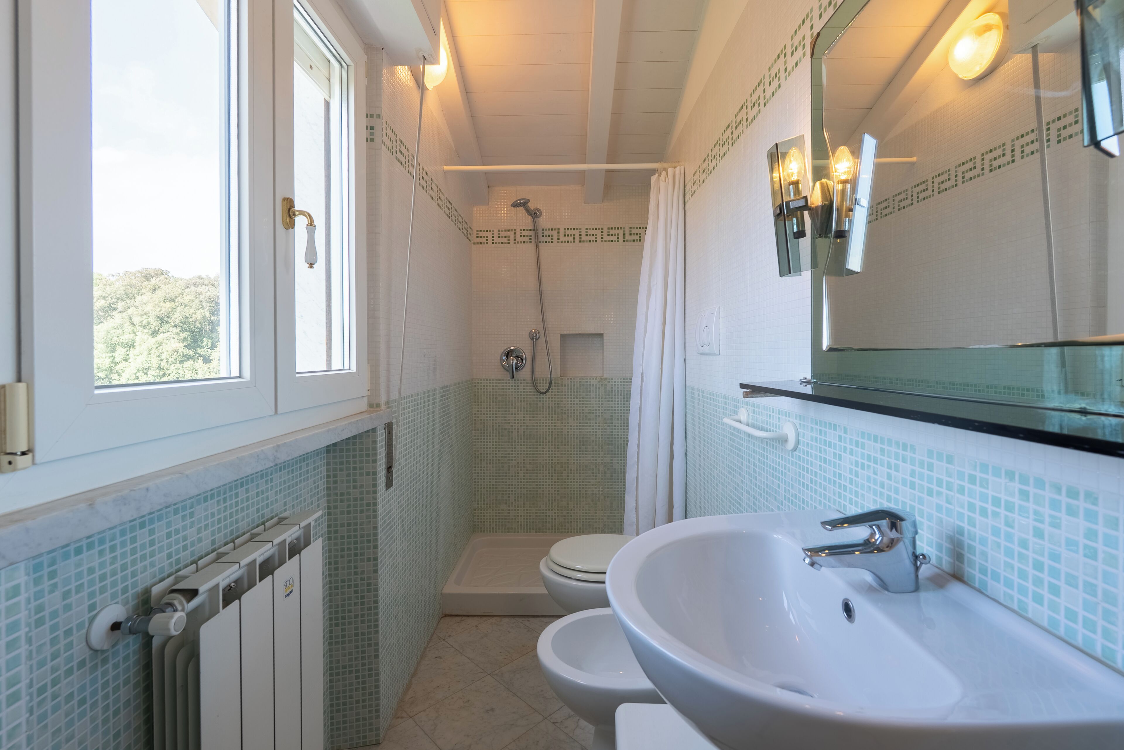 Shower, hair dryer, bidet, towels