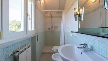 Shower, hair dryer, bidet, towels
