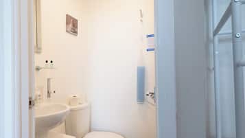 Shower, towels, toilet paper