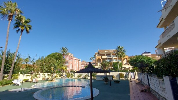 Una piscina con diseño circular, rodeada de palmeras y un parasol de paja.