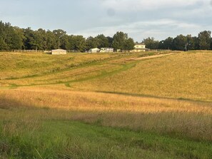 Ländliche Landschaft mit sanften Hügeln, einem eingezäunten Bereich und einigen Gebäuden in der Ferne.