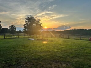 Property grounds - Family and pet friendly 60 acre farm near Buffalo National River. (Saint Joe)