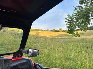 Ein Fahrzeuginnenraum mit Blick auf ein grasbewachsenes Feld und Bäume.