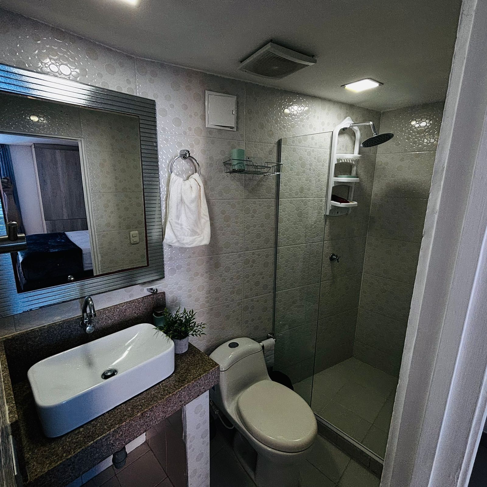 Shower, soap, toilet paper