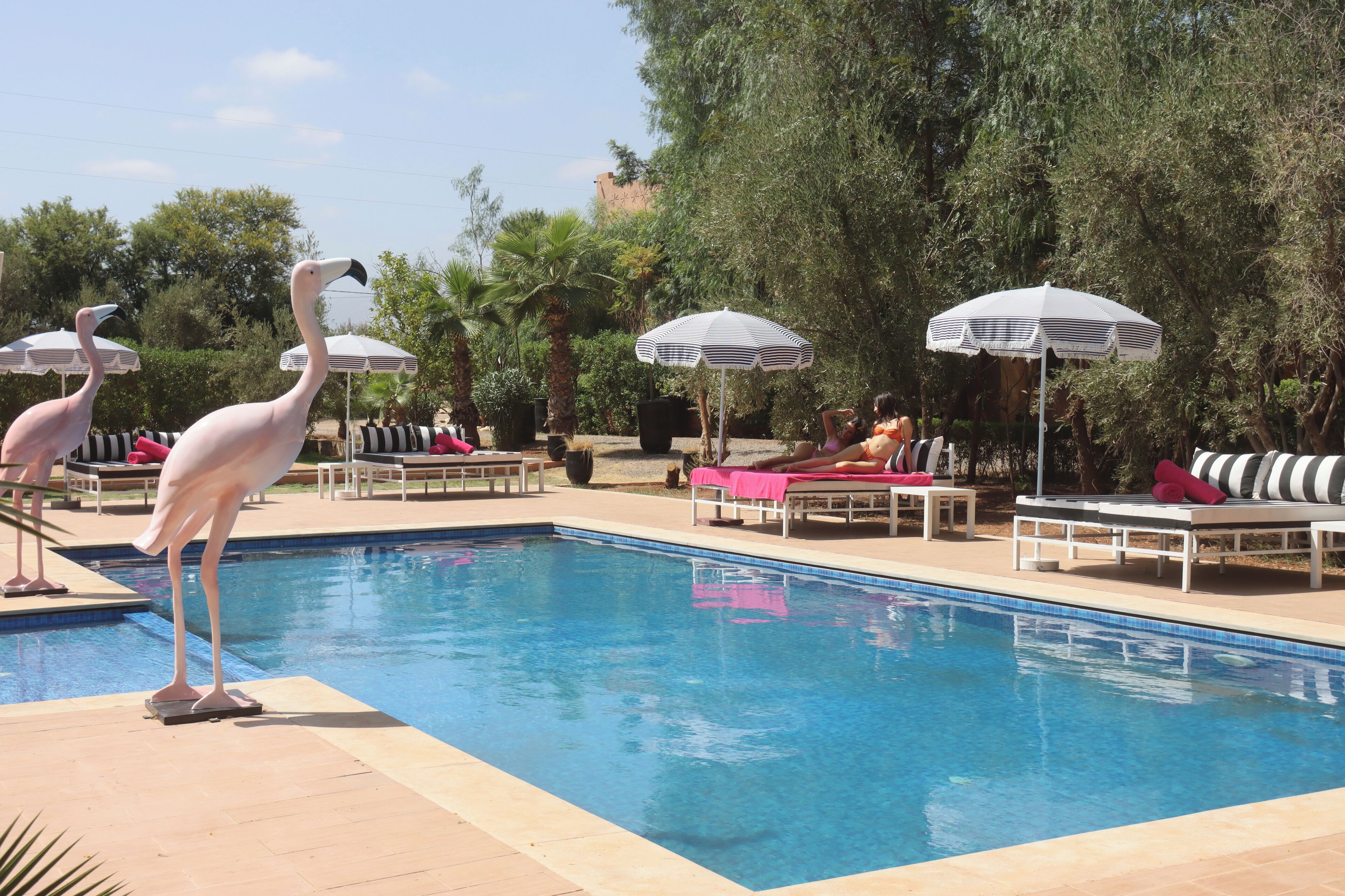 Una piscina con sillas de descanso y sombrillas, rodeada de árboles y una estatua de flamenco.