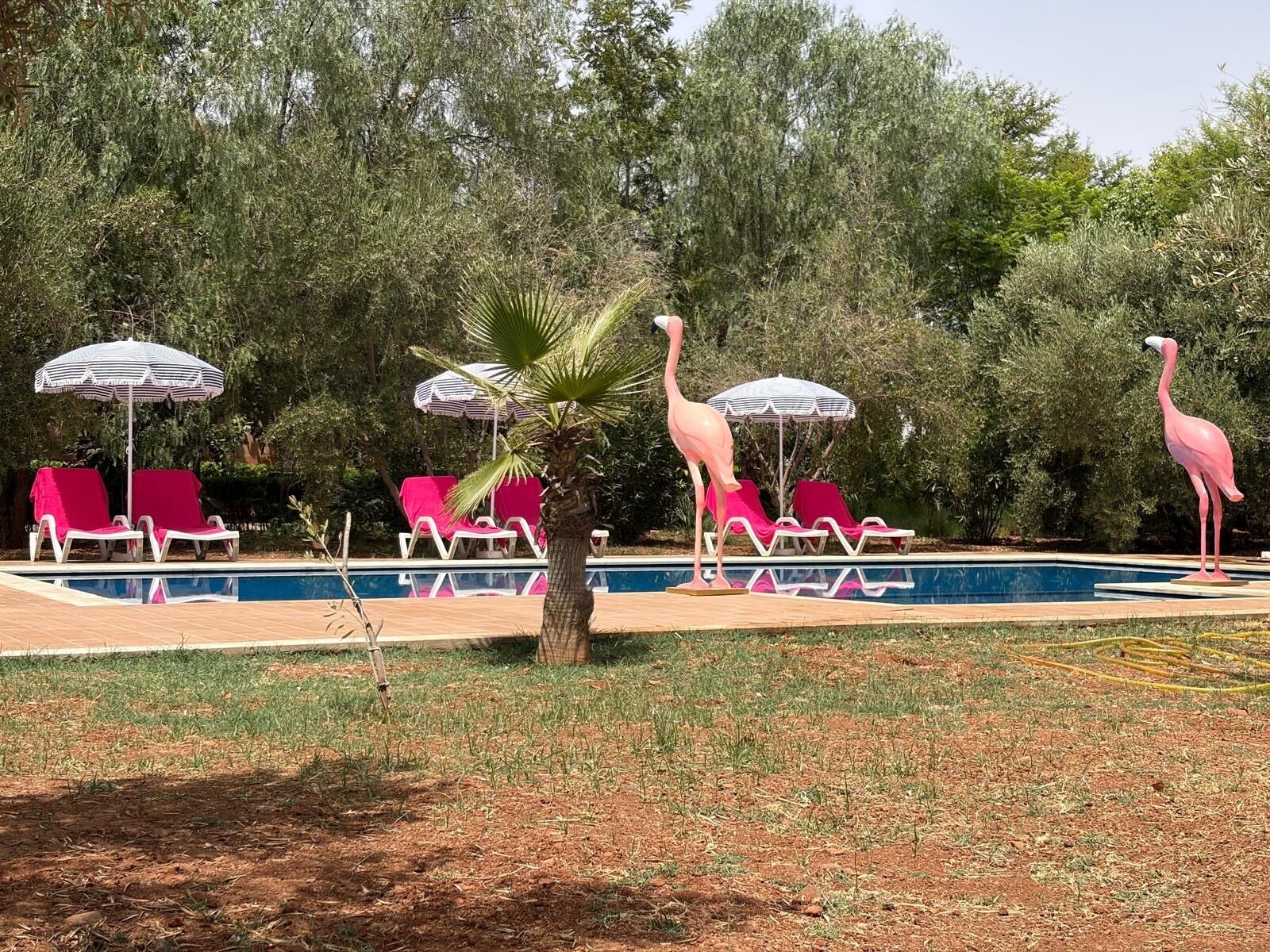 A swimming pool with lounge chairs and umbrellas, surrounded by trees and a flamingo statue.
