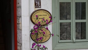 Uklassifisert bilde, 4 av 29, knapp