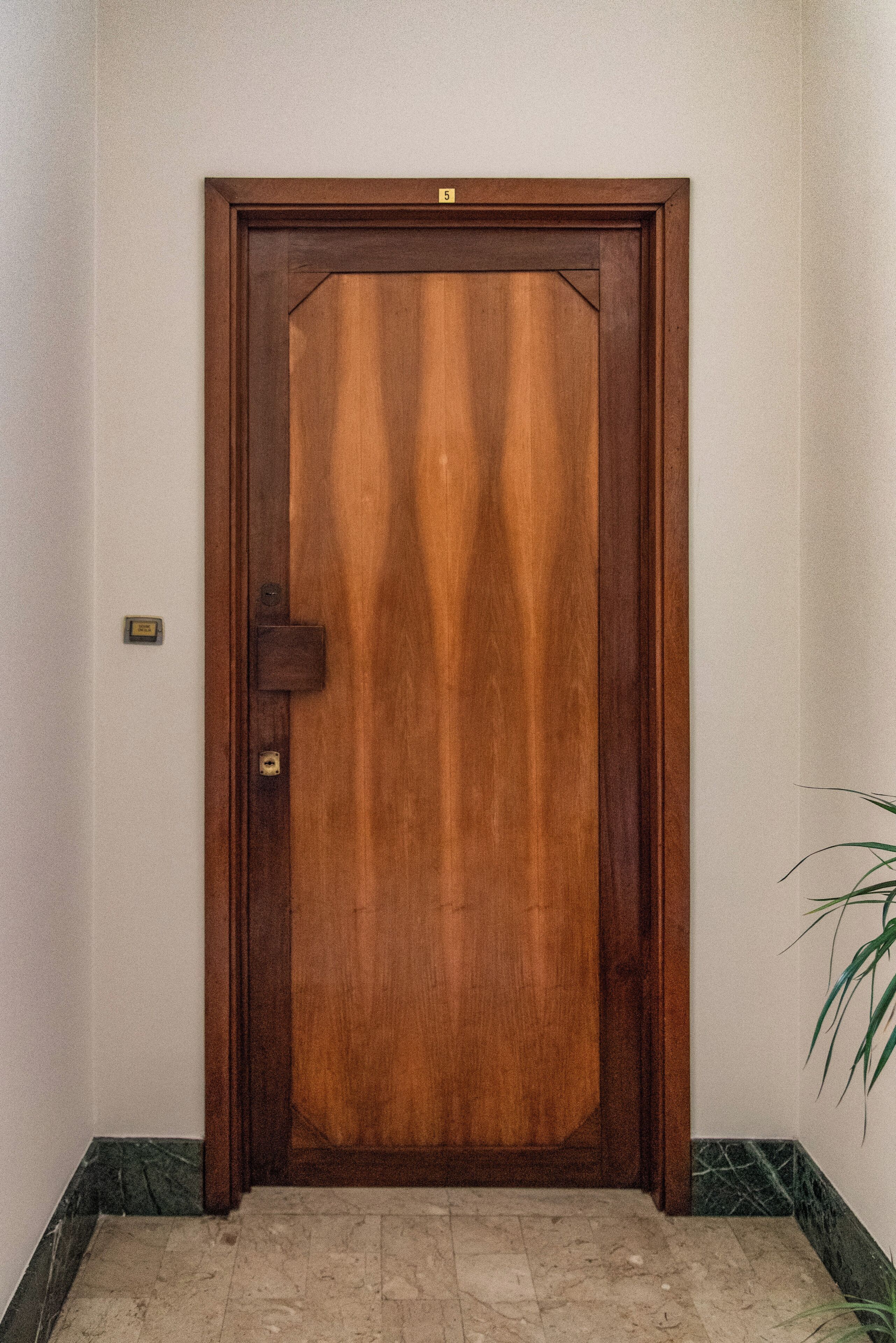 Una puerta de madera con picaporte y cerradura, en un pasillo con suelo de baldosas y una planta a la derecha.