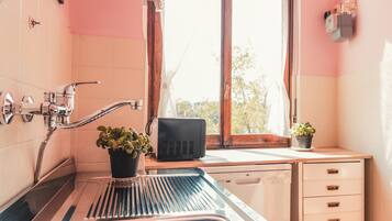 Apartment, Balcony, City View | Private kitchen