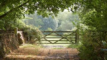 A rustic gate leading into a wooded area with a stone wall on one side.