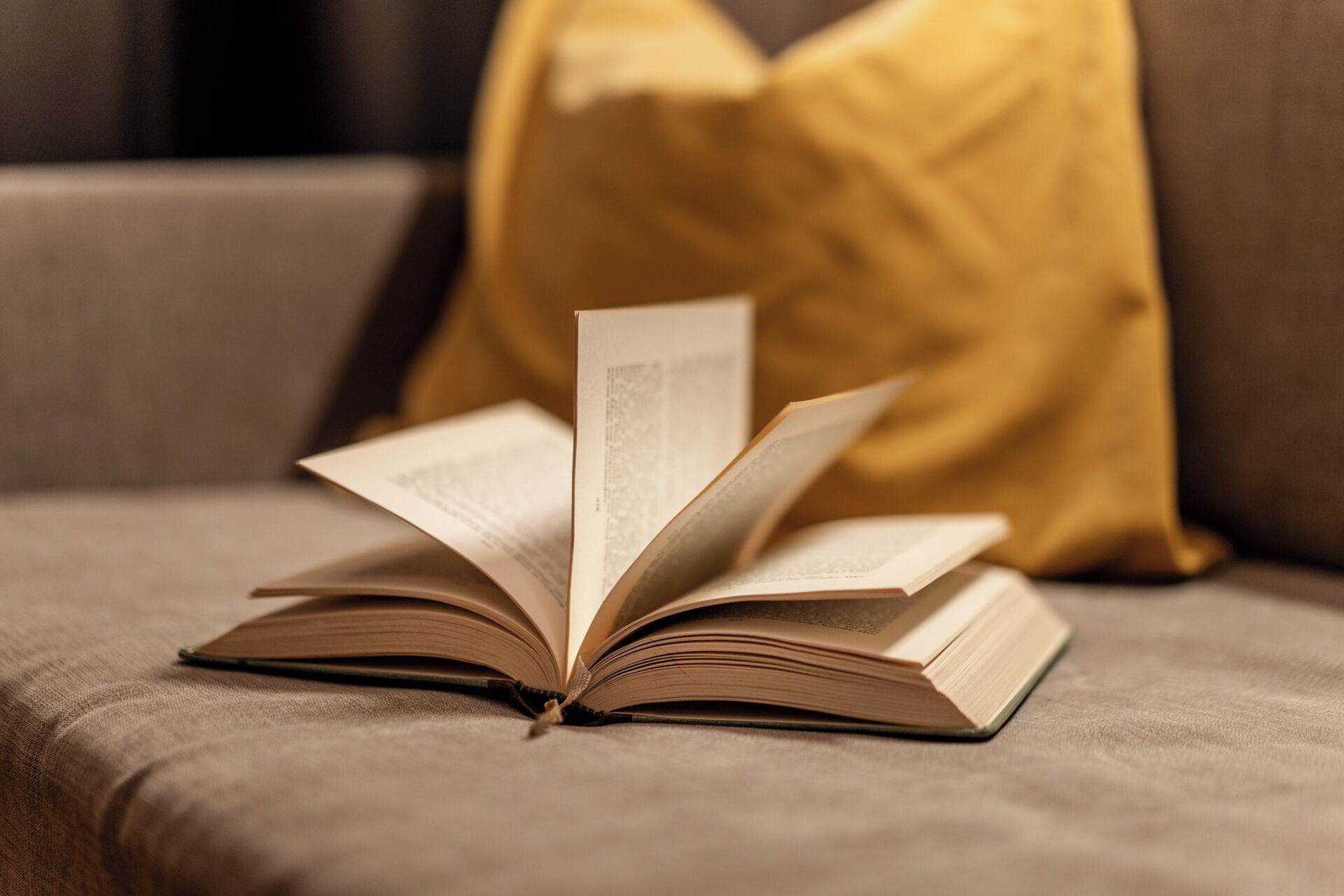 Un llibre obert sobre un sofà, amb un coixí de fons.