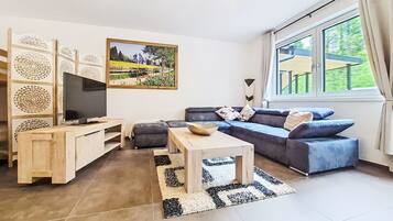 Fernseher