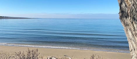 Nära stranden