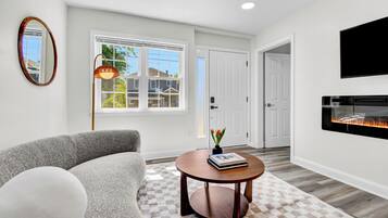 Smart TV, fireplace, books