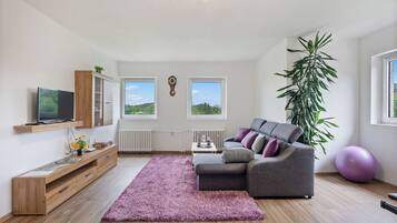 Un salon moderne avec un canapé gris, un meuble TV en bois, une grande fenêtre et un radiateur.