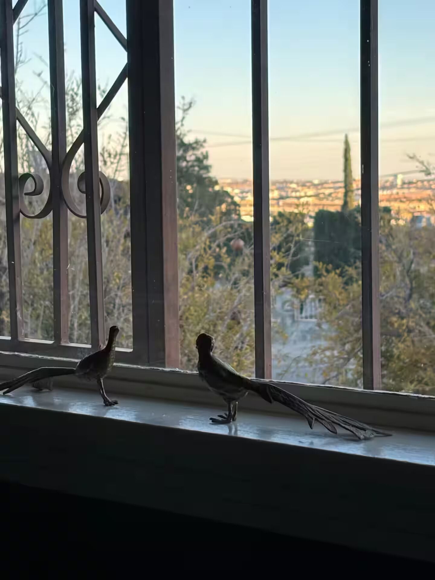 Two birds on a window sill with a view of trees and buildings.